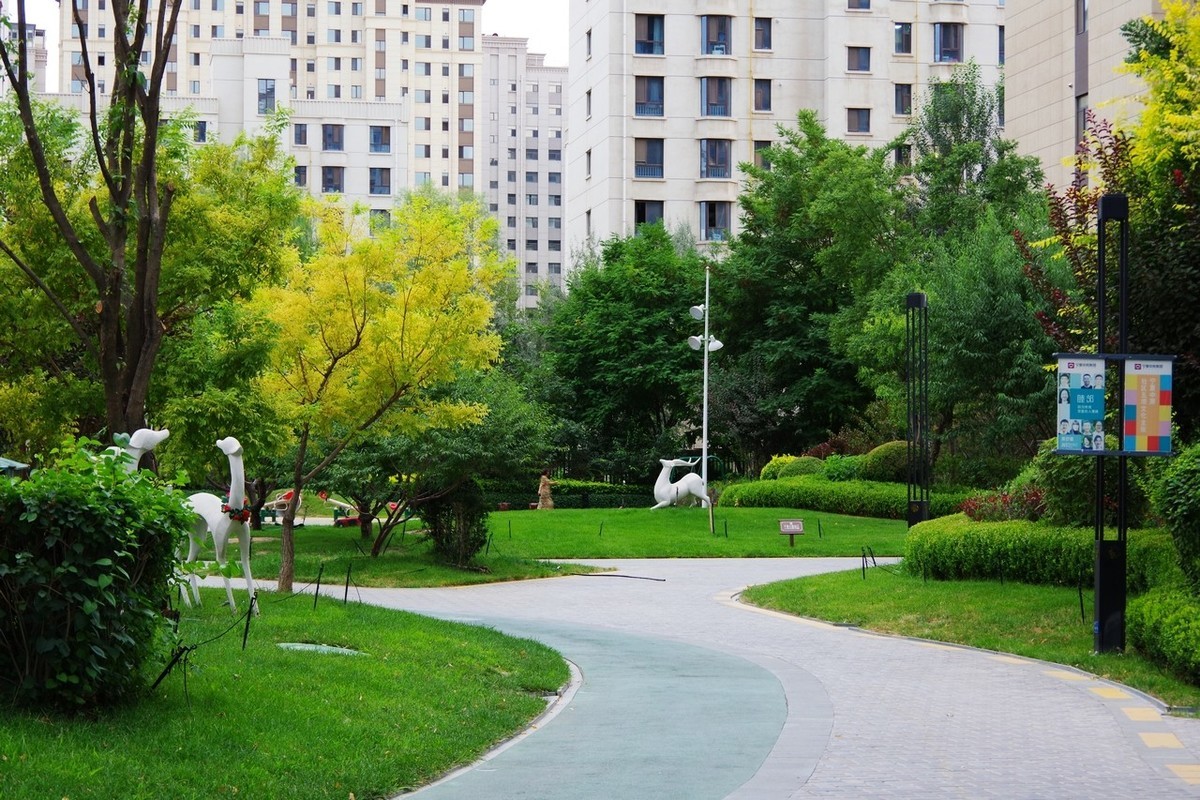 俺并不喜欢玩摄影，只是喜欢随手拍而已！