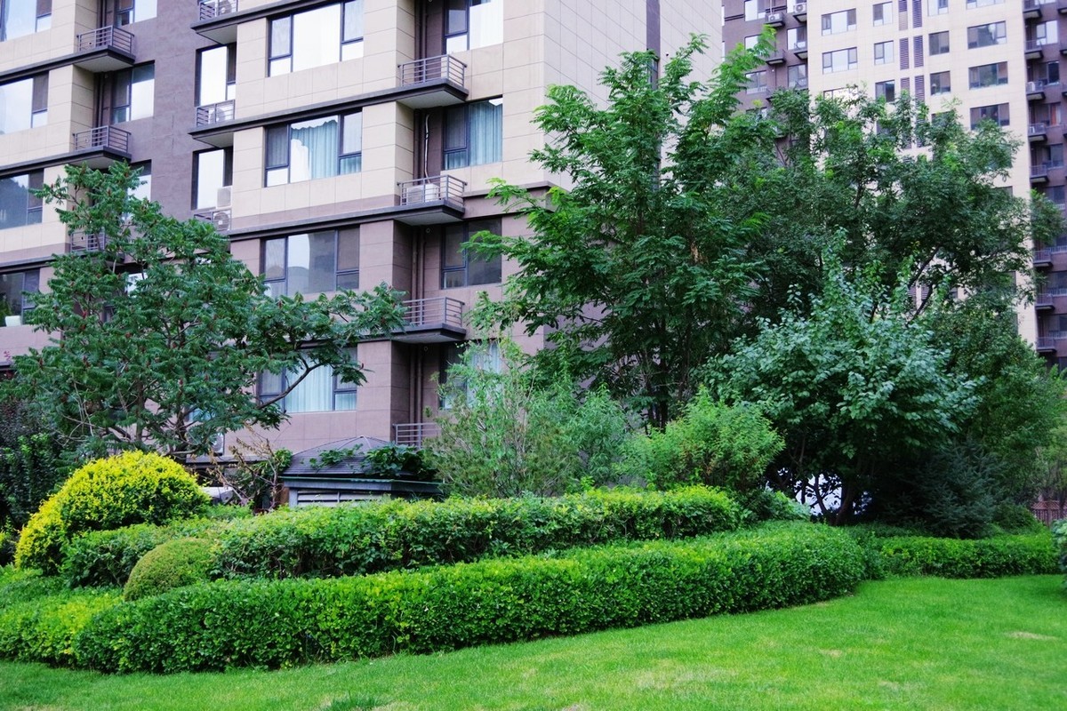 俺并不喜欢玩摄影，只是喜欢随手拍而已！