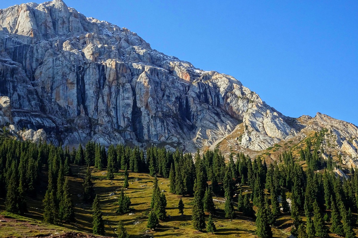 我在新疆伊昭公路”白石峰“等你