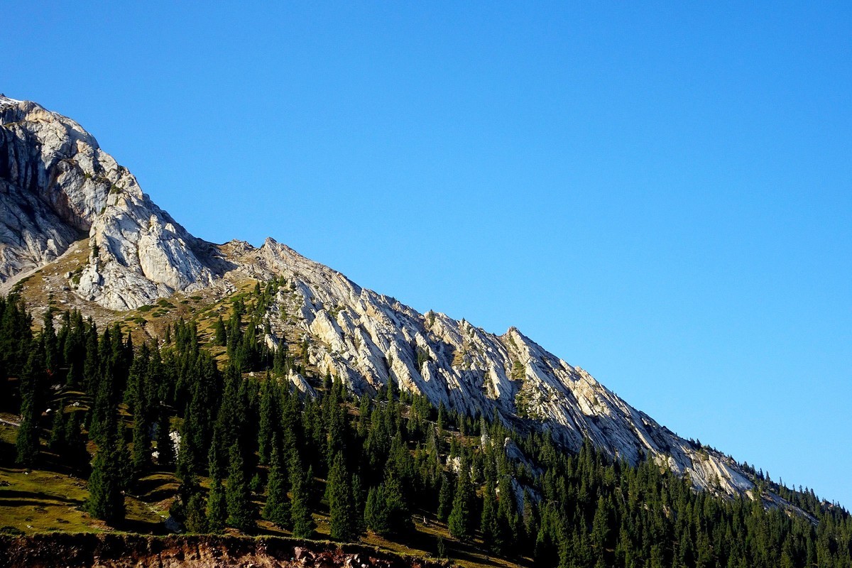 我在新疆伊昭公路”白石峰“等你