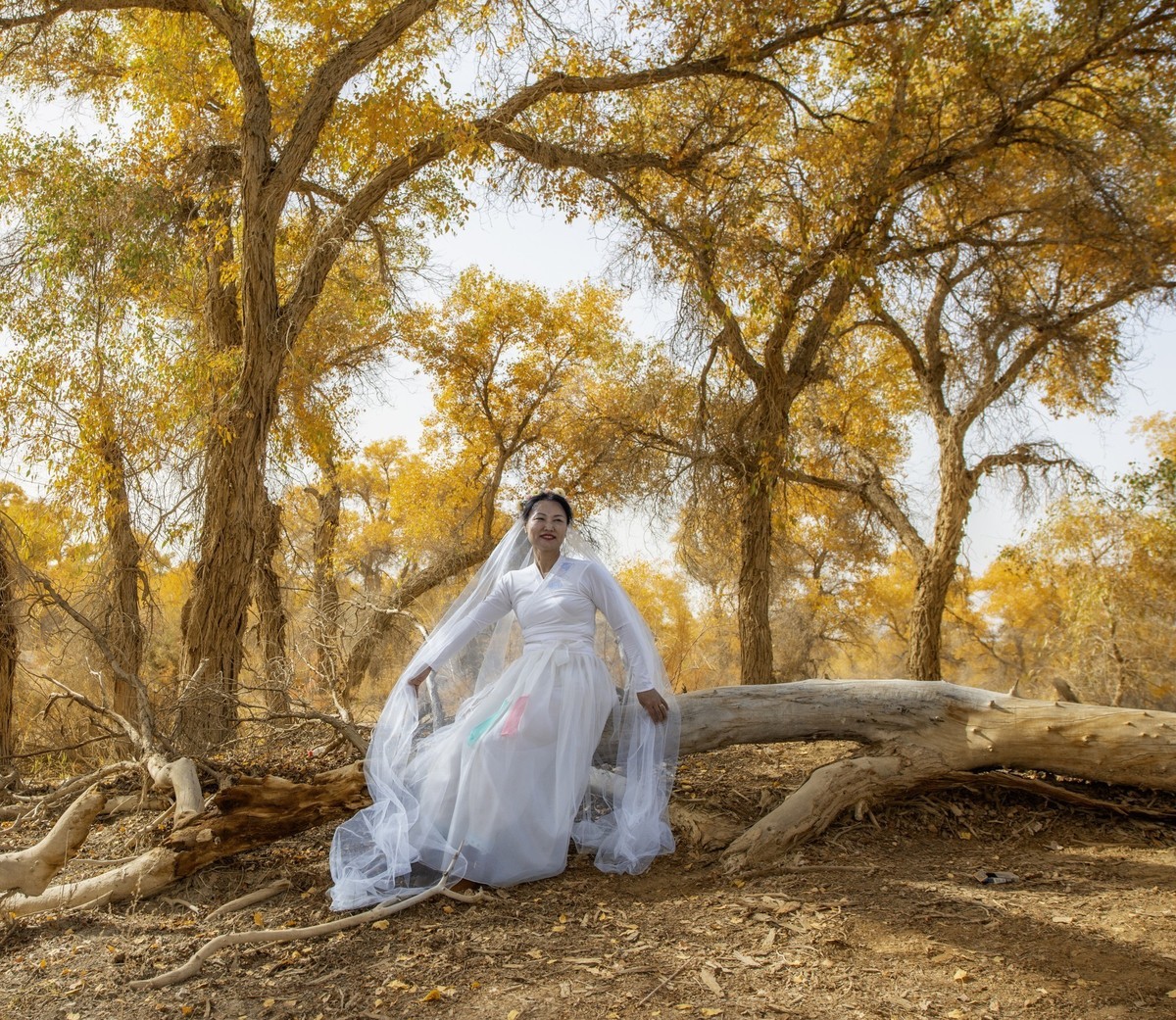 新疆旅拍（三）：塔里木胡杨林