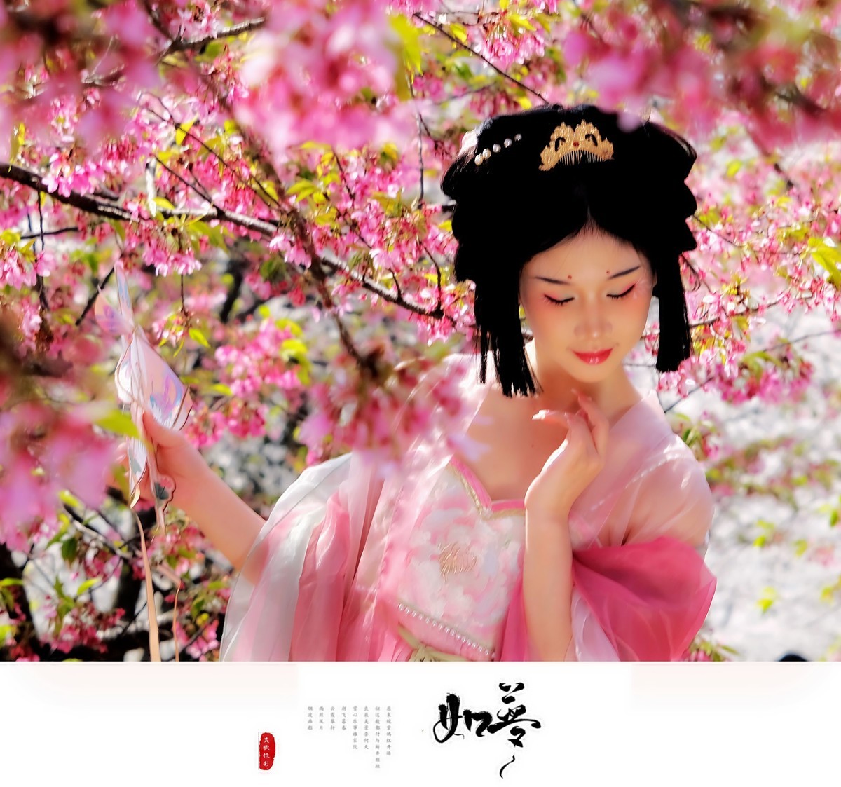 古风人像∶花谢花飞花满天，红消香断有谁怜。