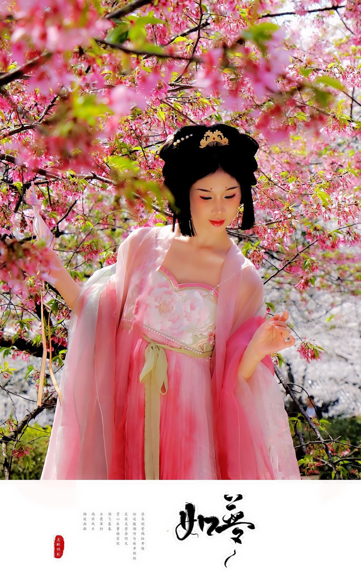 古风人像∶花谢花飞花满天，红消香断有谁怜。