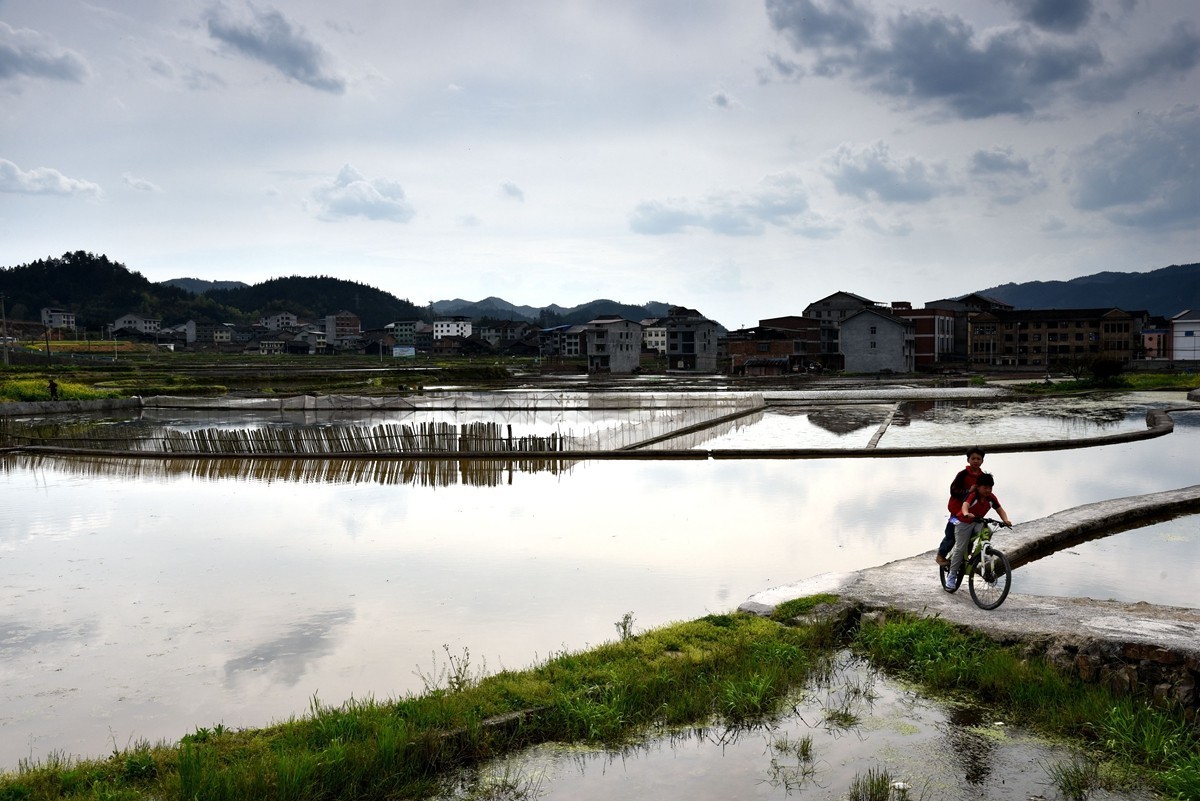 公路边的田园风光【贵州天柱县高酿镇】【2】