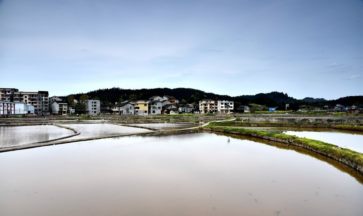 公路边的田园风光【贵州天柱县高酿镇】【2】