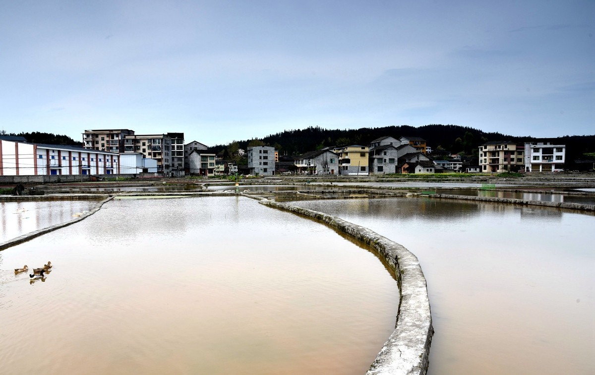 公路边的田园风光【贵州天柱县高酿镇】【2】