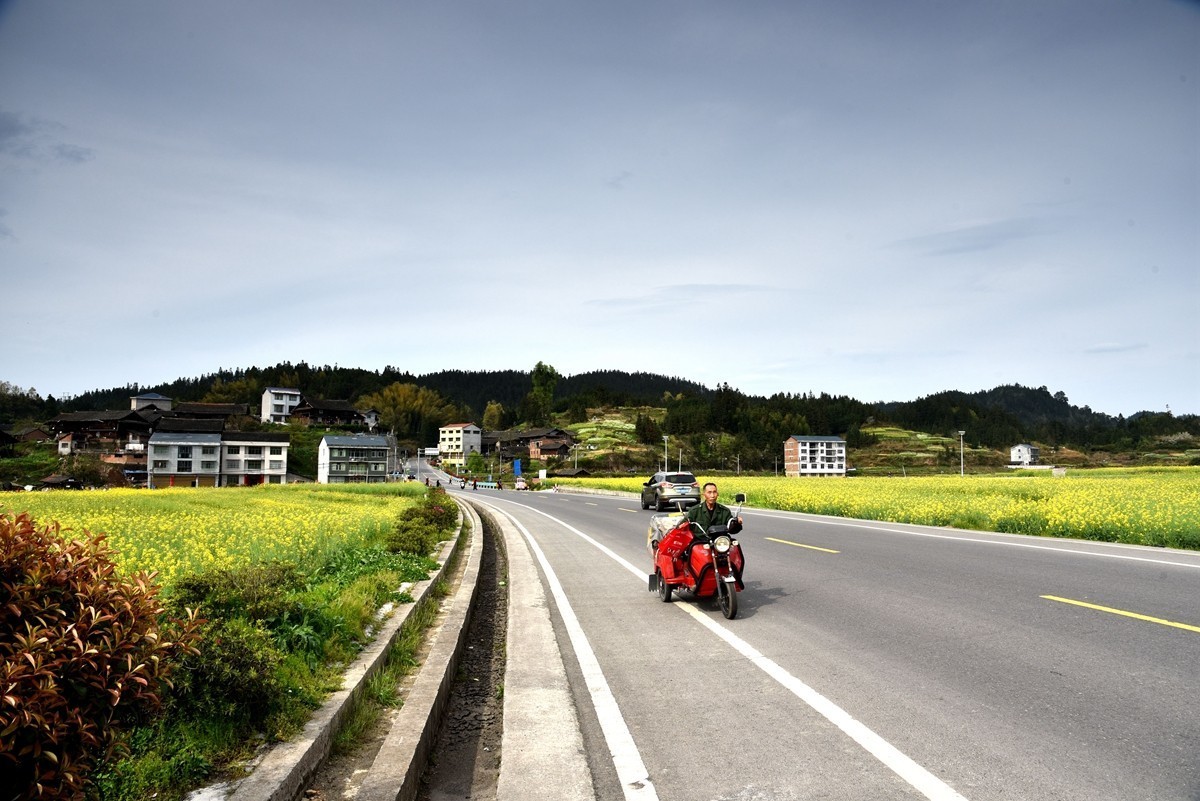 公路边的田园风光【贵州天柱县高酿镇】【4】