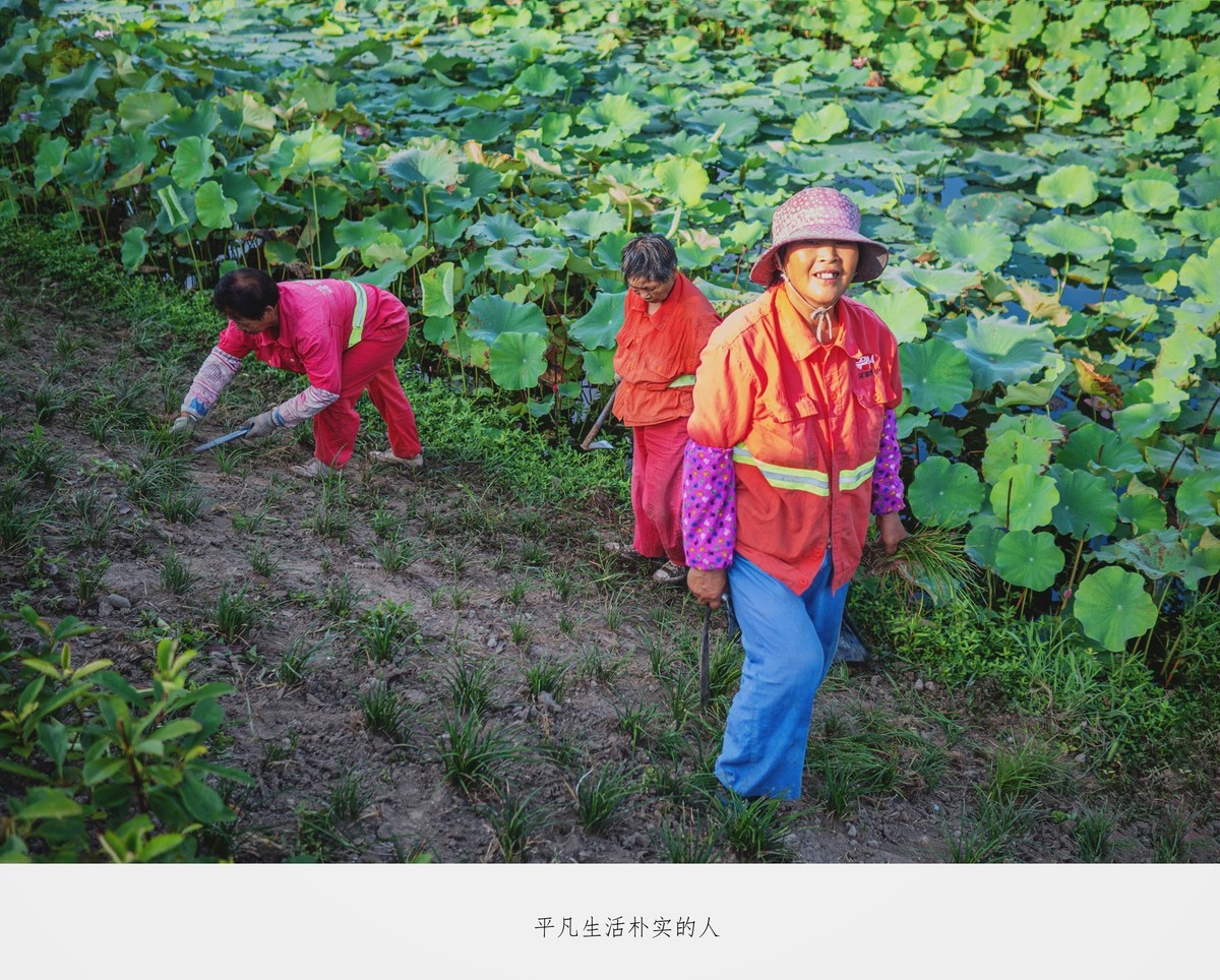 朴实勤劳可爱村里环境养护工