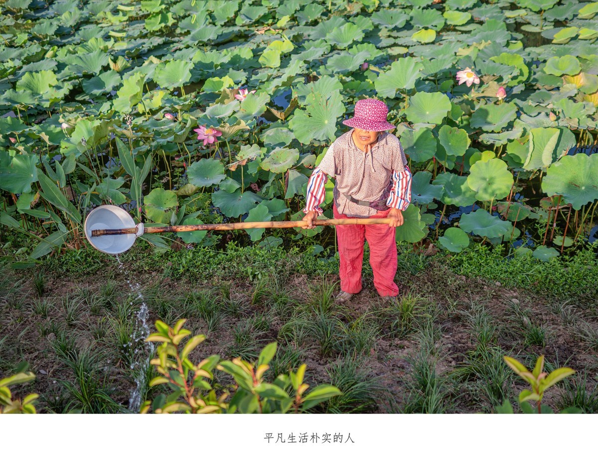 朴实勤劳可爱村里环境养护工