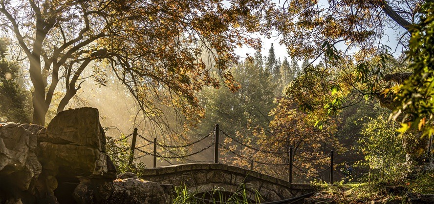 青岛百花苑秋色