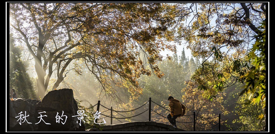 青岛百花苑秋色