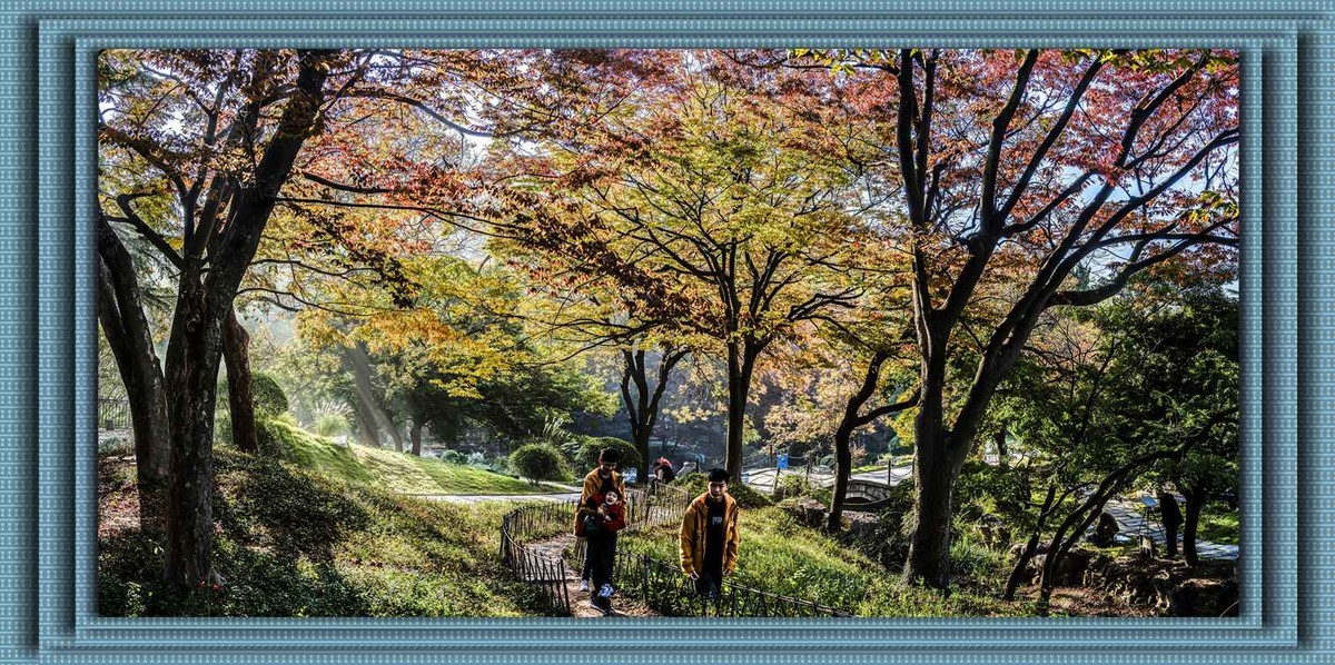 青岛百花苑秋色