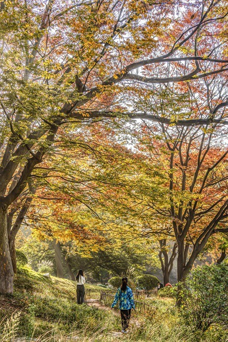 青岛百花苑秋色