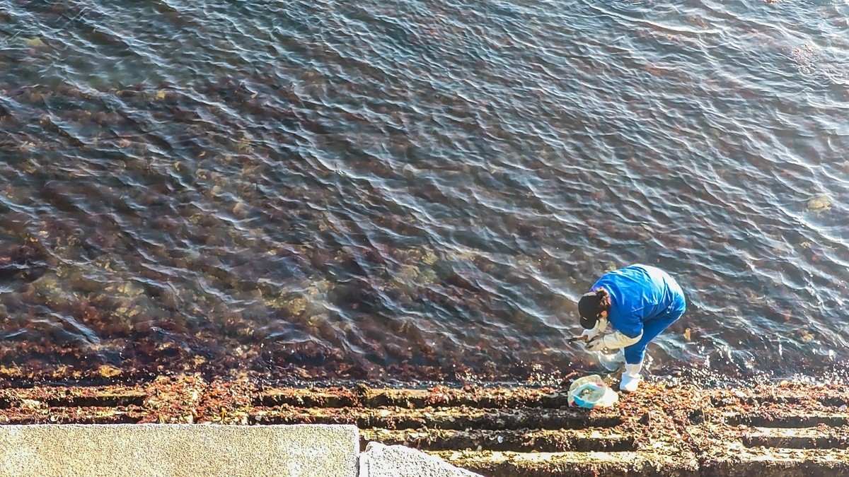 大 连 的 海 ------ 开发区临近杂货码头的海