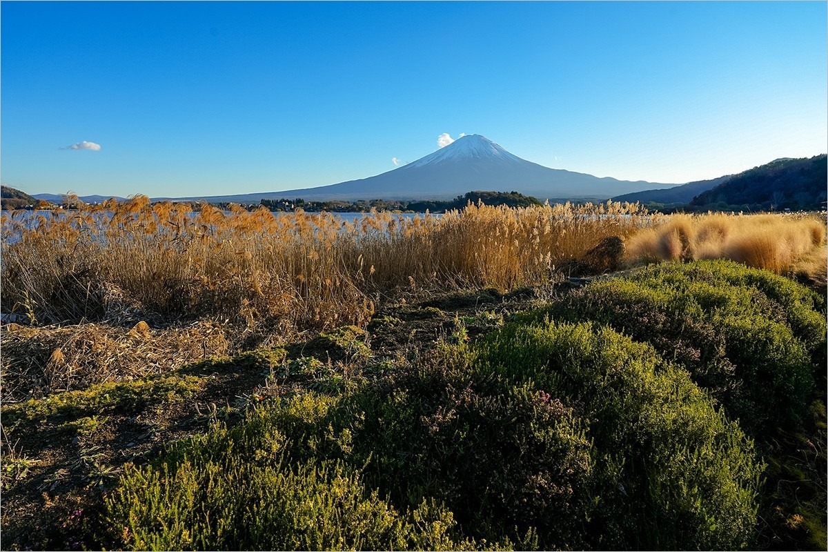 2024年第0934贴-富士山河口湖大石公园旅拍（1224）