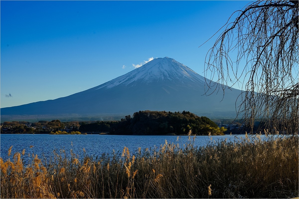 2024年第0934贴-富士山河口湖大石公园旅拍（1224）