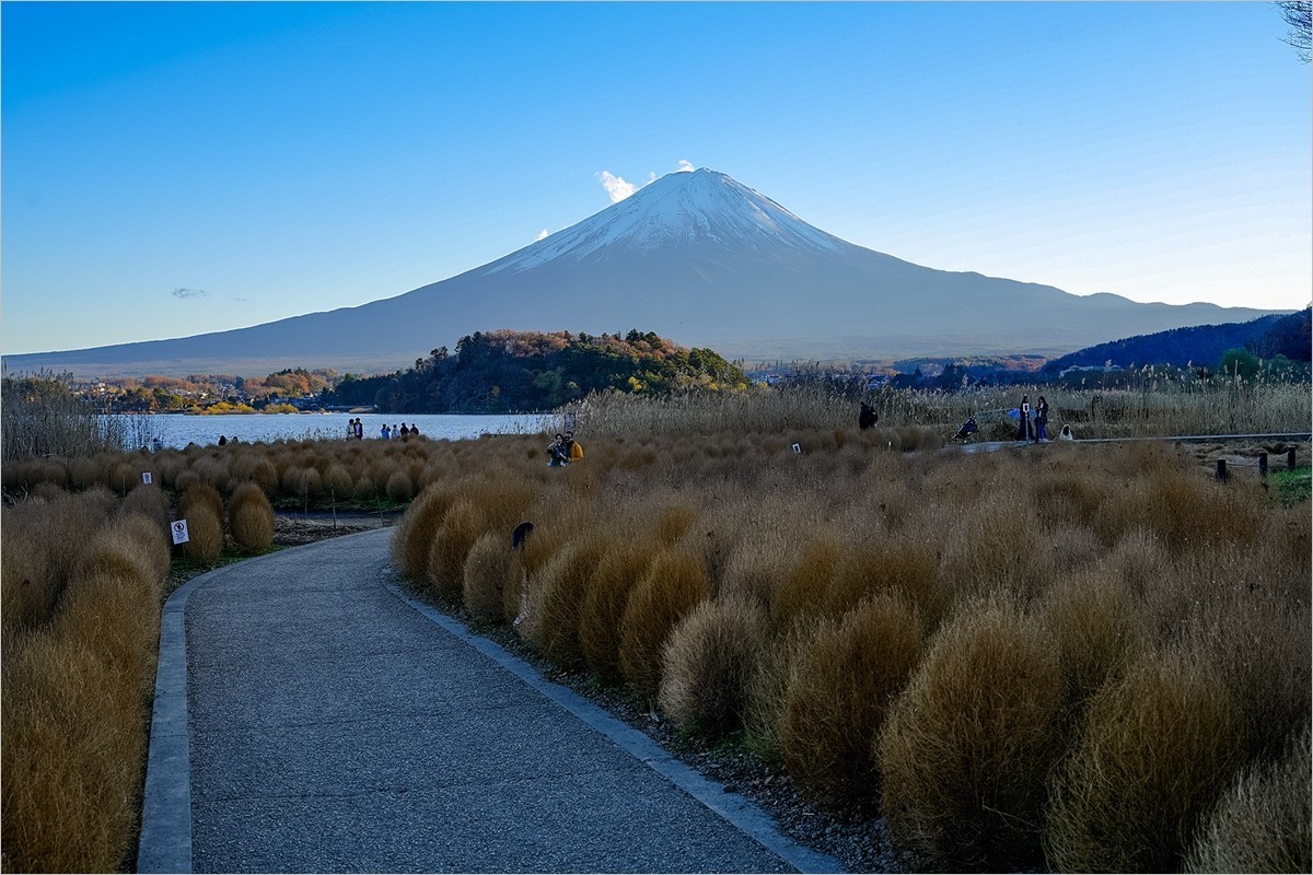 2024年第0934贴-富士山河口湖大石公园旅拍（1224）