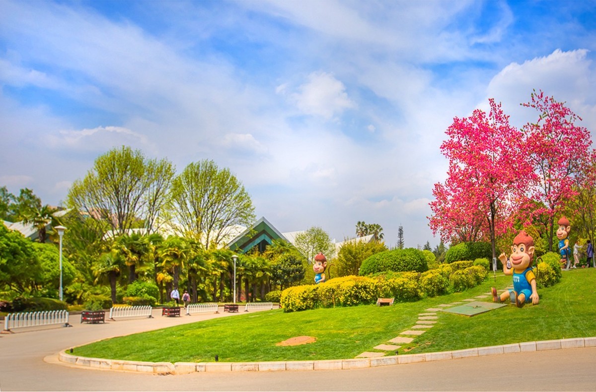 2025-01-17昆明世博园（十)