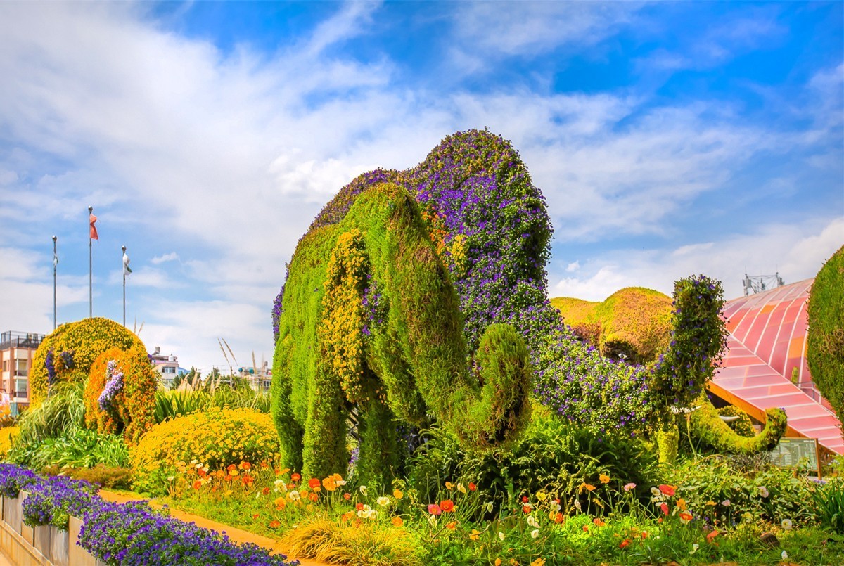 2025-01-17昆明世博园（十)