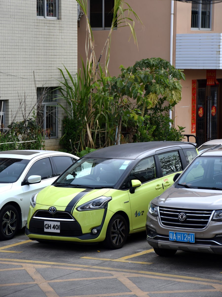 2025春节 广东行（99）金水湾