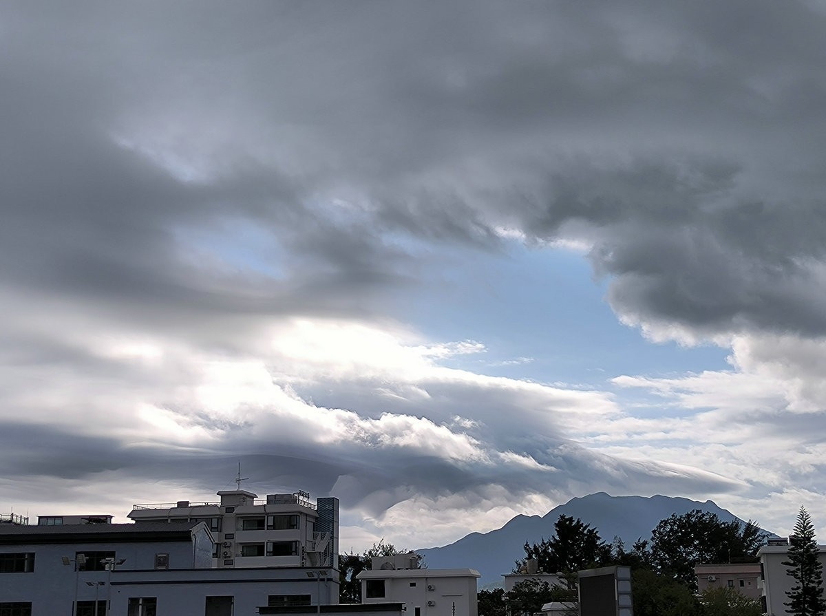 2025春节 广东行（99）金水湾