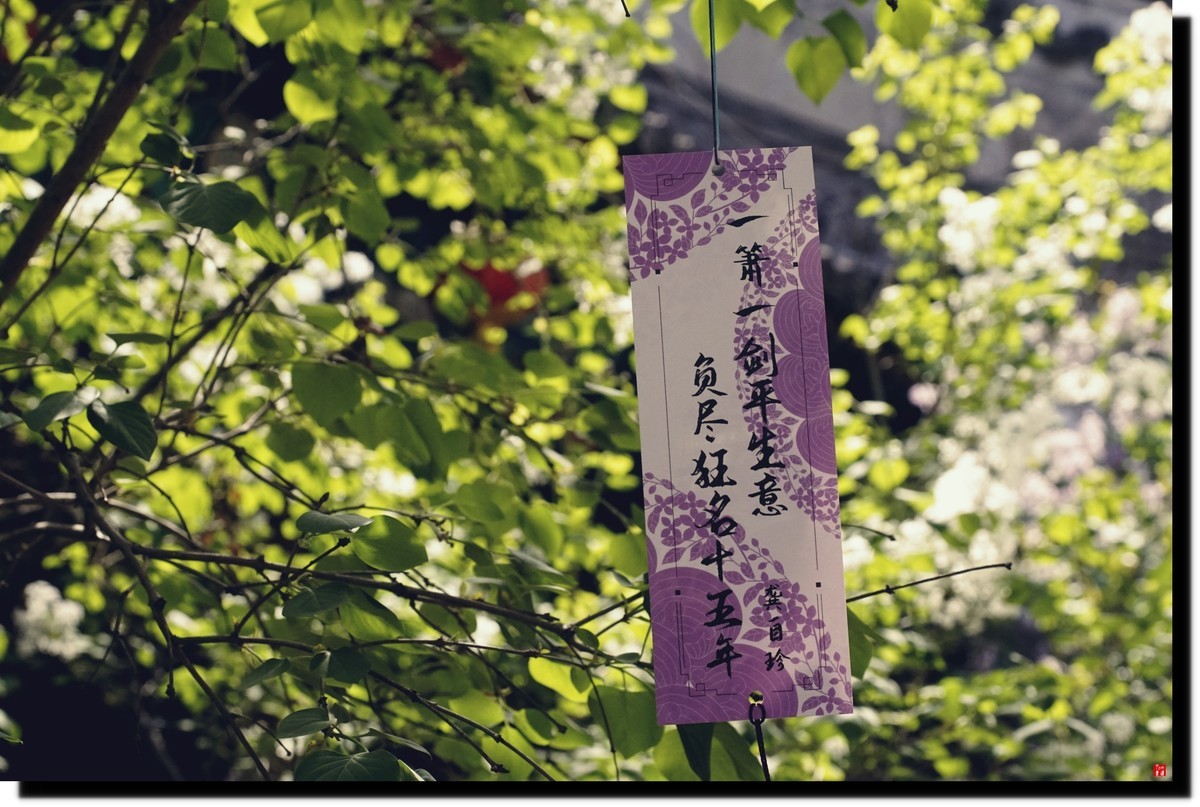 法源寺赏丁香！