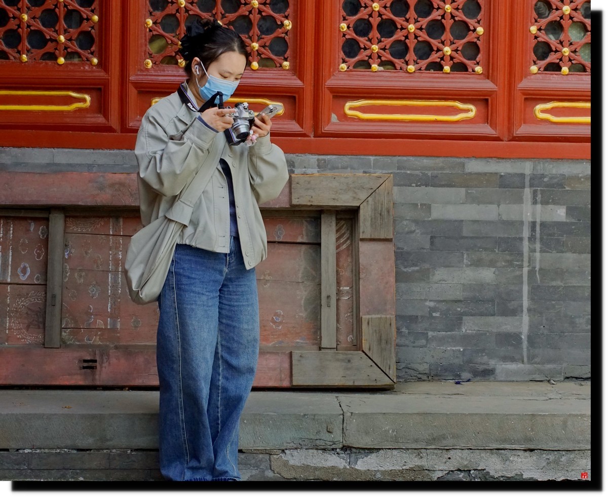 法源寺赏丁香！