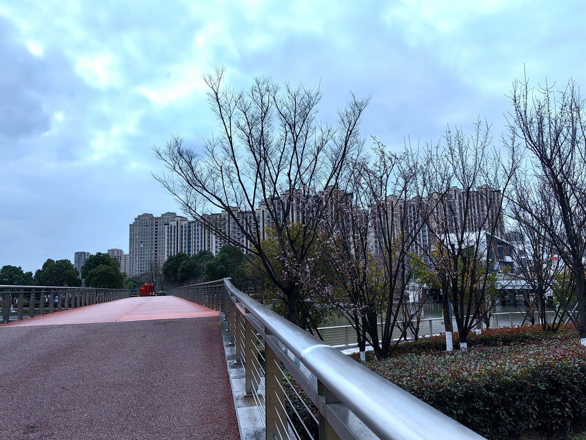 宁波滨江公园掠影