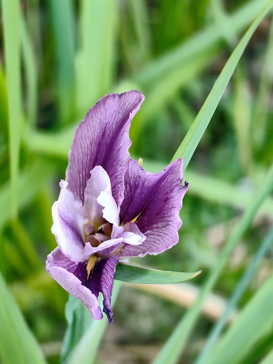 宁波滨江公园掠影