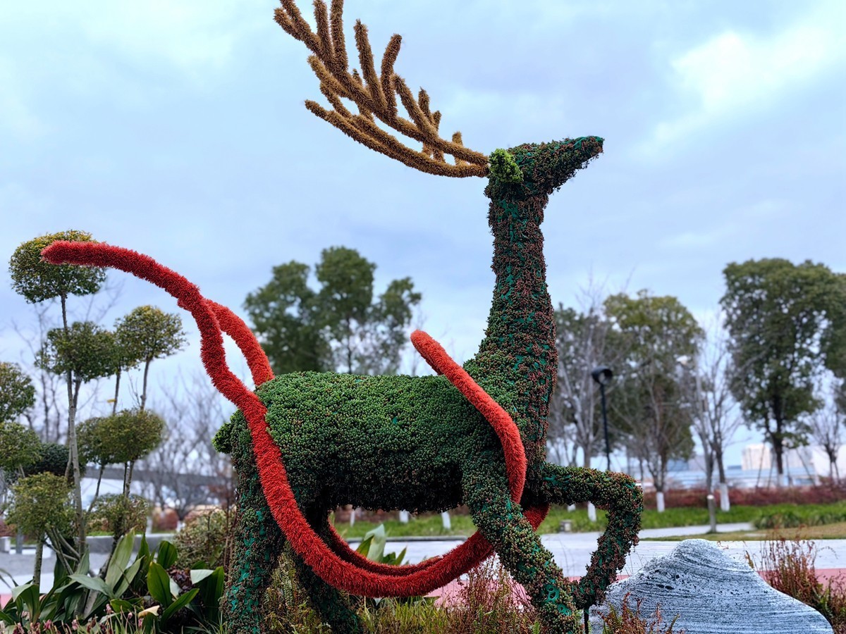 宁波滨江公园掠影