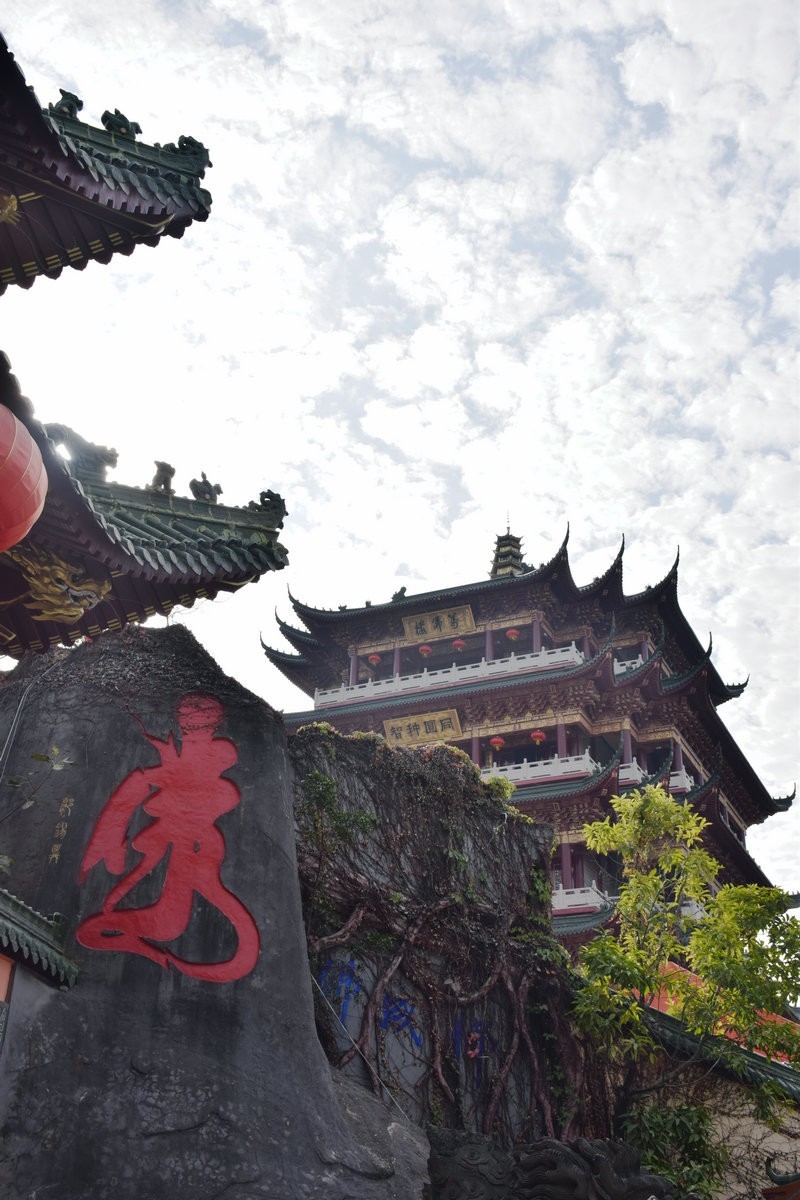 2025春节 广东行（41）潮南区