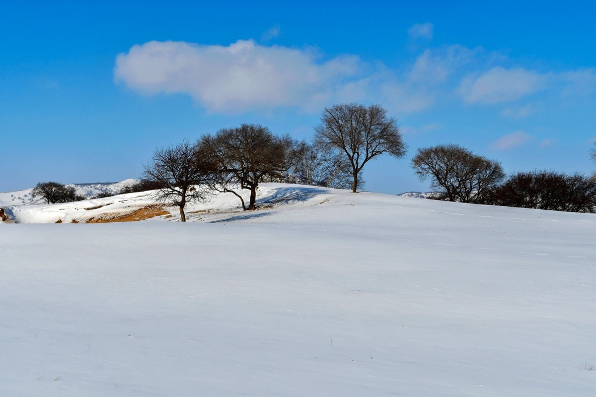 我只是把出去看到的随手记录下来（100）