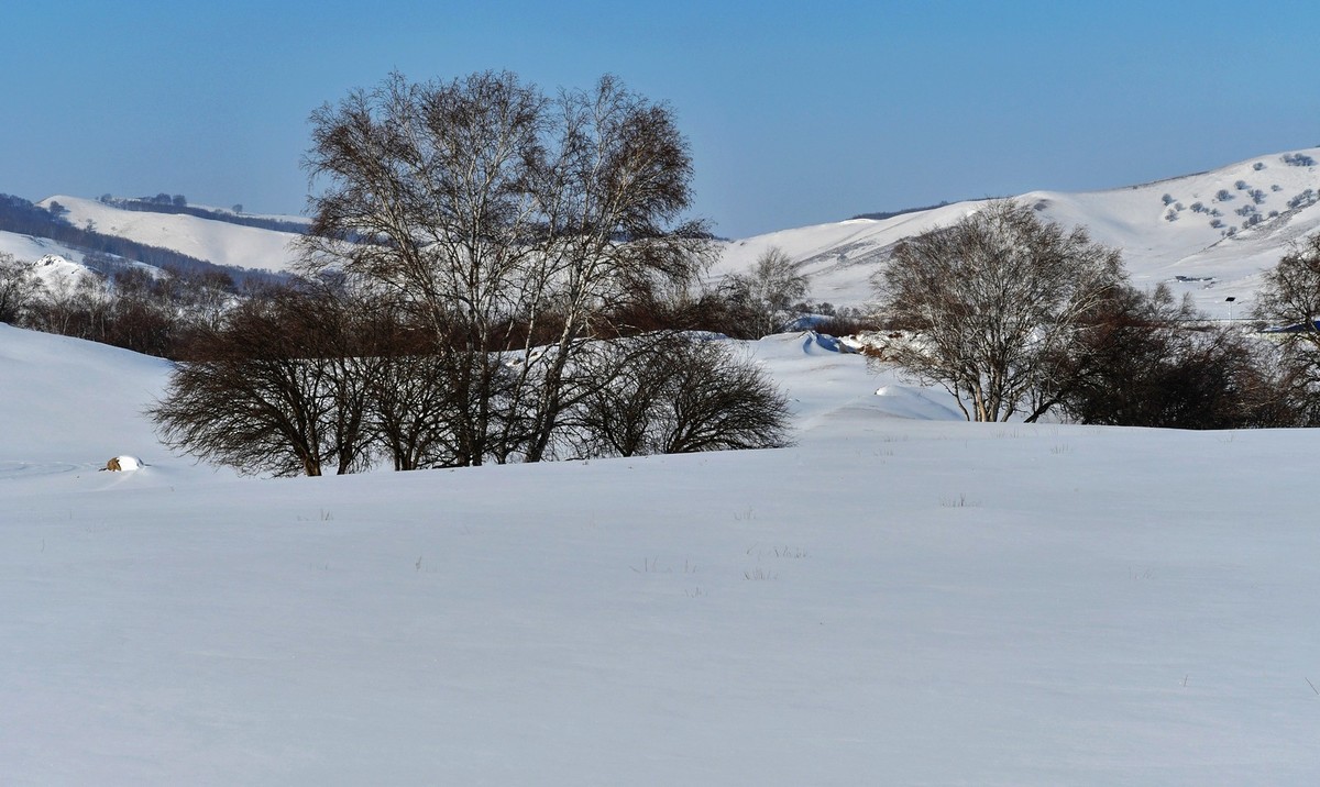 我只是把出去看到的随手记录下来（100）