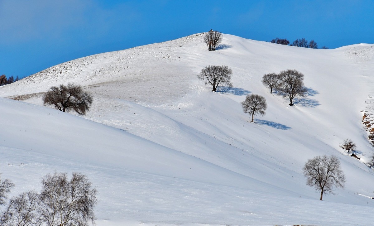 我只是把出去看到的随手记录下来（100）
