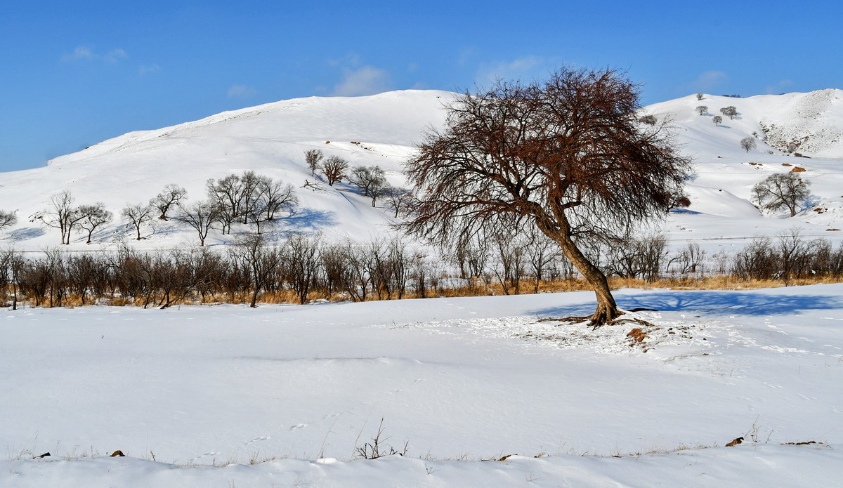 我只是把出去看到的随手记录下来（100）