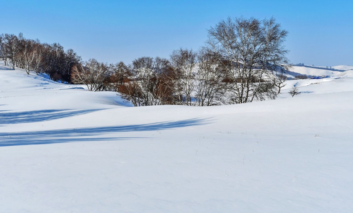 我只是把出去看到的随手记录下来（100）