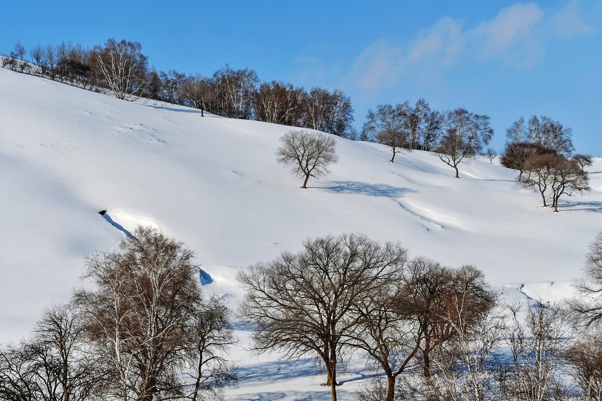 我只是把出去看到的随手记录下来（100）