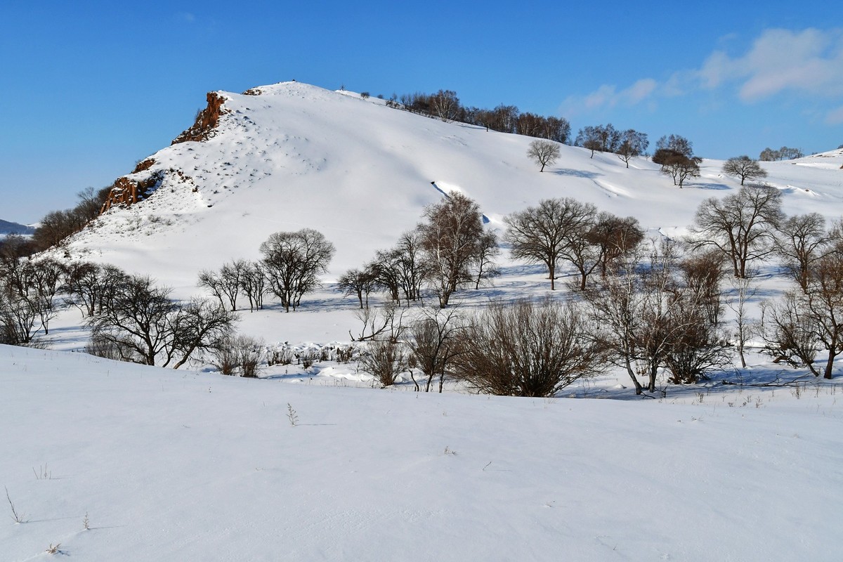 我只是把出去看到的随手记录下来（100）