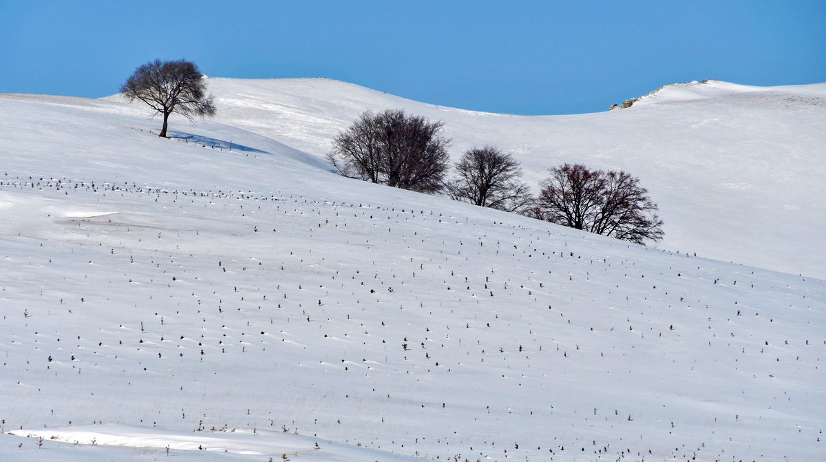 我只是把出去看到的随手记录下来（100）