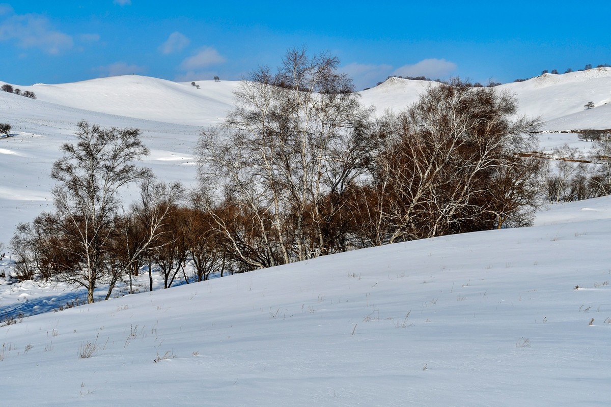 我只是把出去看到的随手记录下来（100）