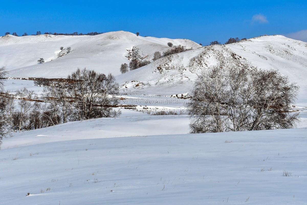我只是把出去看到的随手记录下来（100）