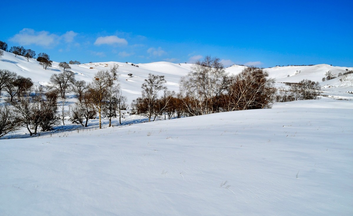 我只是把出去看到的随手记录下来（100）