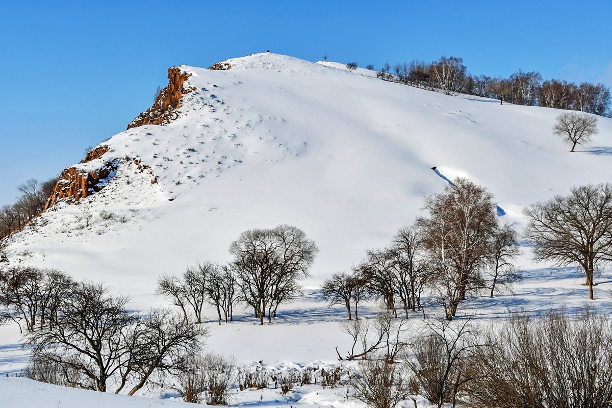 我只是把出去看到的随手记录下来（100）