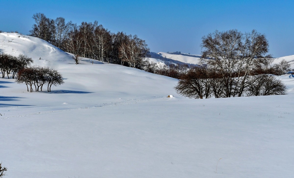 我只是把出去看到的随手记录下来（100）