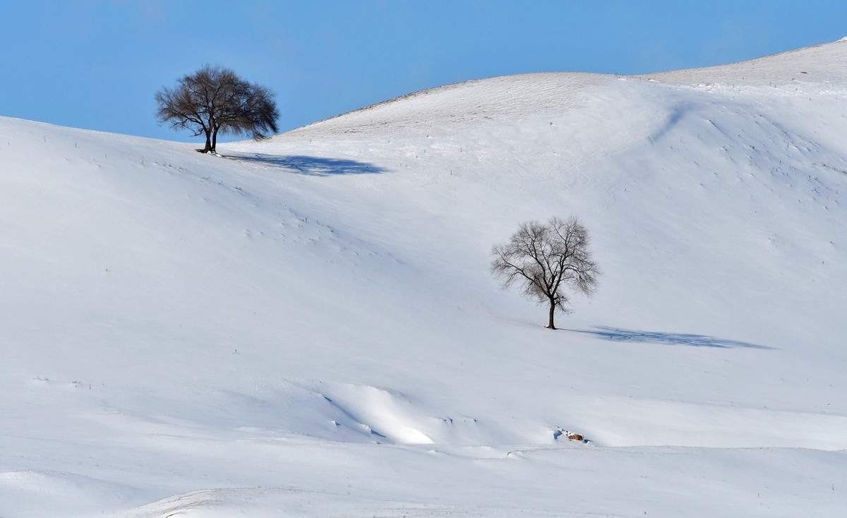 我只是把出去看到的随手记录下来（100）