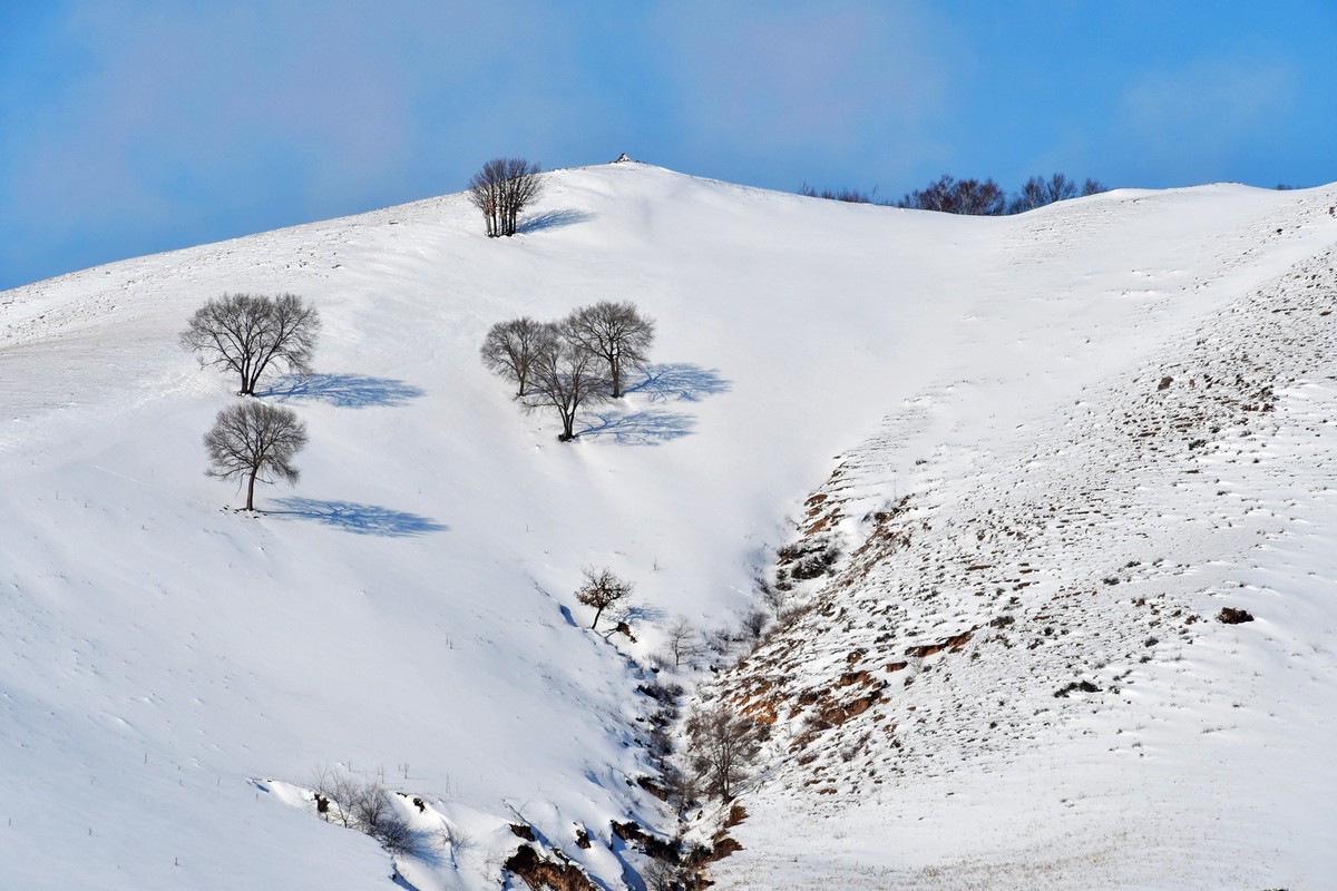我只是把出去看到的随手记录下来（100）