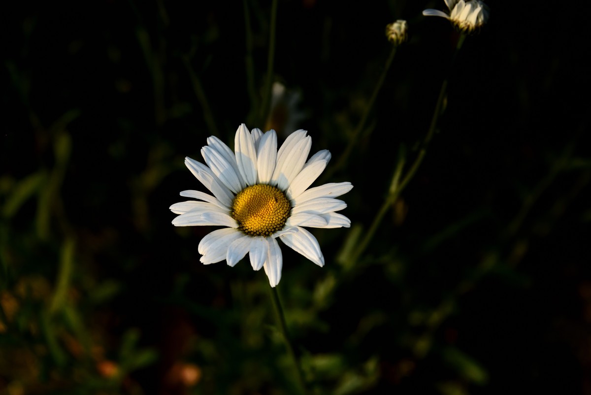 邛海湖畔【11】