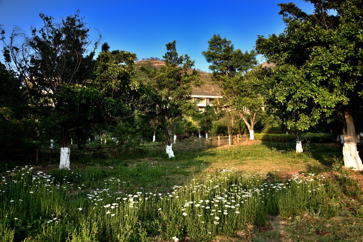 邛海湖畔【11】