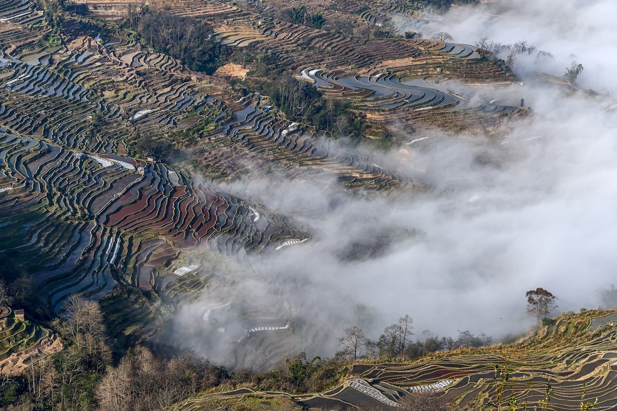 旅游记录 ：云南 · 红河 · 元阳 · 哈尼梯田 · 坝达片区