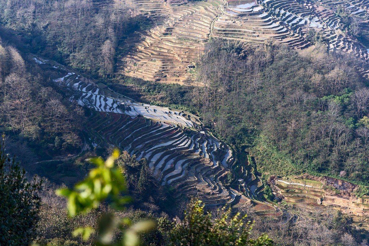 旅游记录 ：云南 · 红河 · 元阳 · 哈尼梯田 · 坝达片区